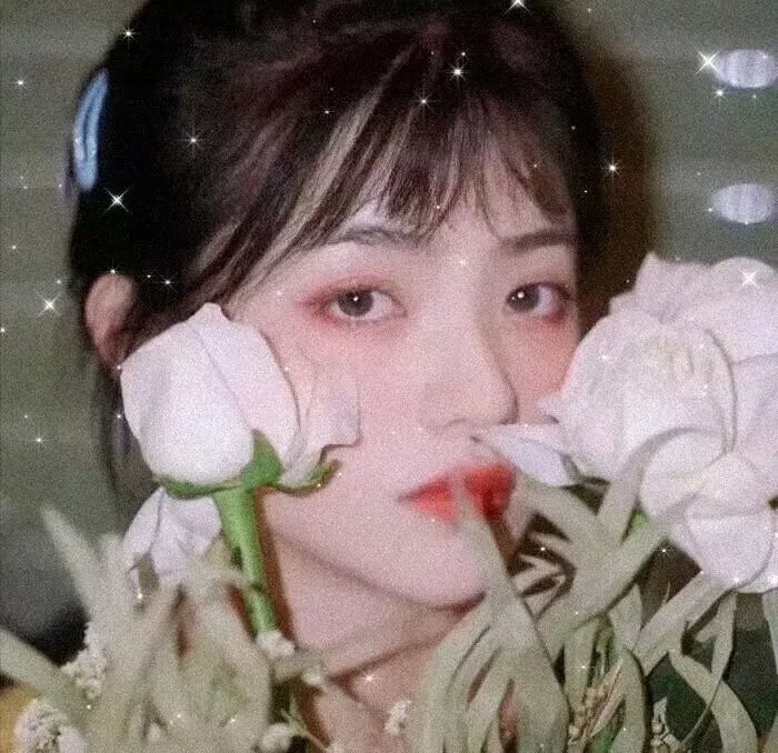 当四叶草碰上剑尖时粤语